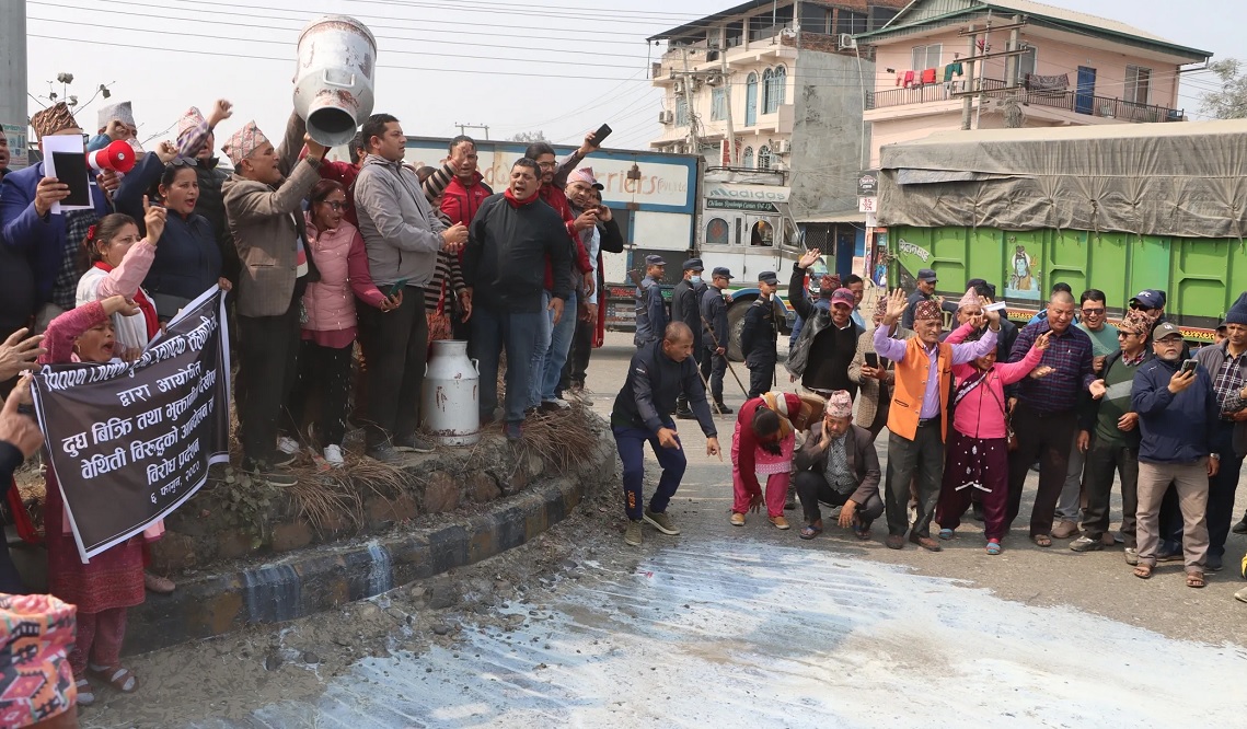 भारतबाट दूध आयात हुँदा खपत घट्याे, मारमा किसान